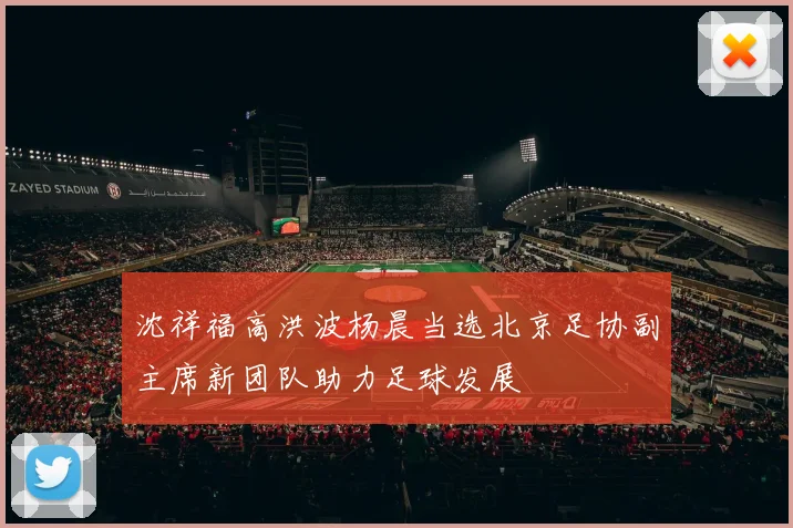 沈祥福高洪波杨晨当选北京足协副主席新团队助力足球发展